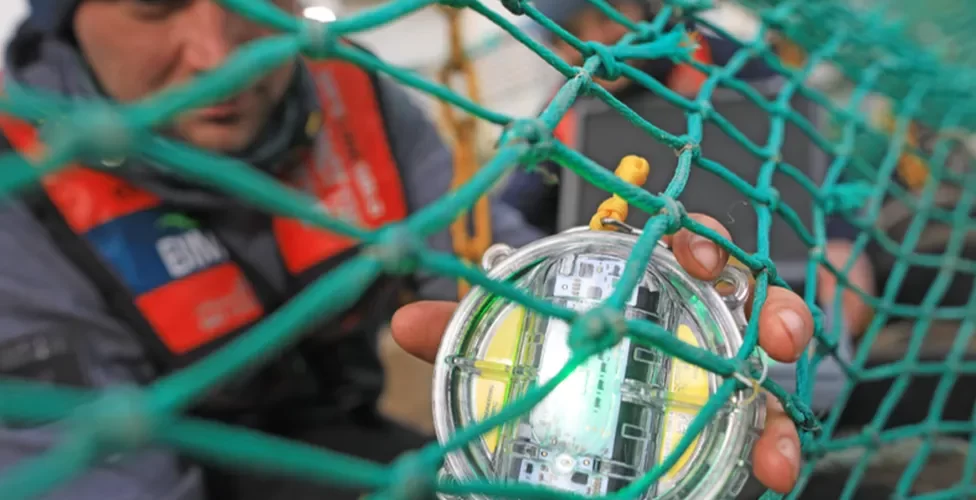 Sustainable fishing: The tech making it cheaper and greener