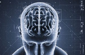 Xenex Blog Xenex Computers man with brain highlighted